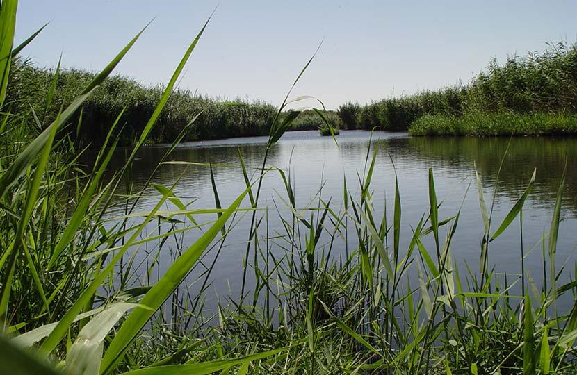 Day 04: Madaba - Azraq Wetland Reserve (B.D)