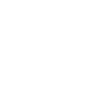 Architect Line Icon