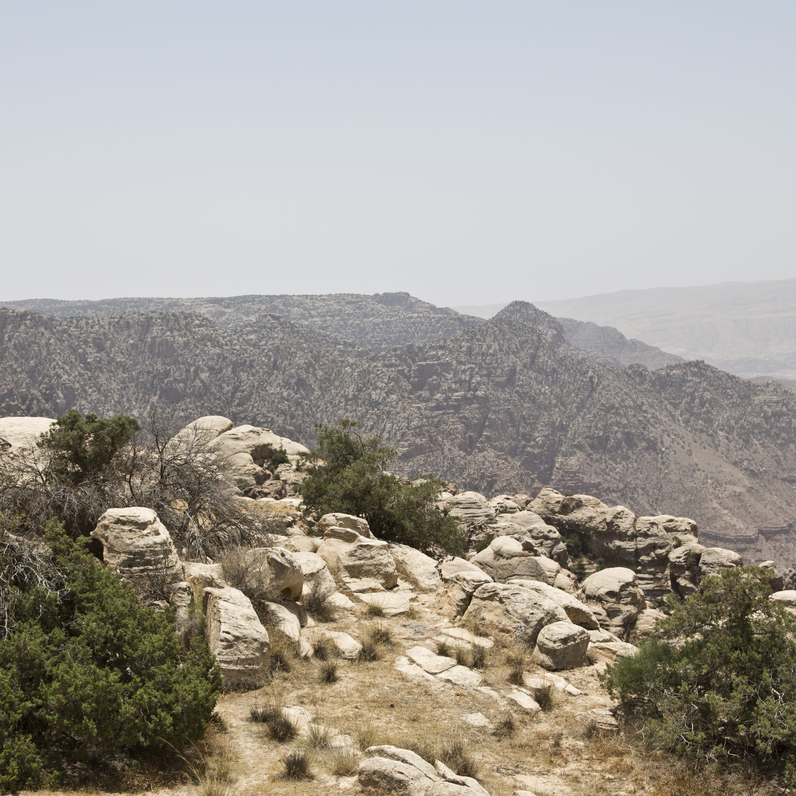 Day 04: Feynan Ecolodge ( hiking )  - Petra